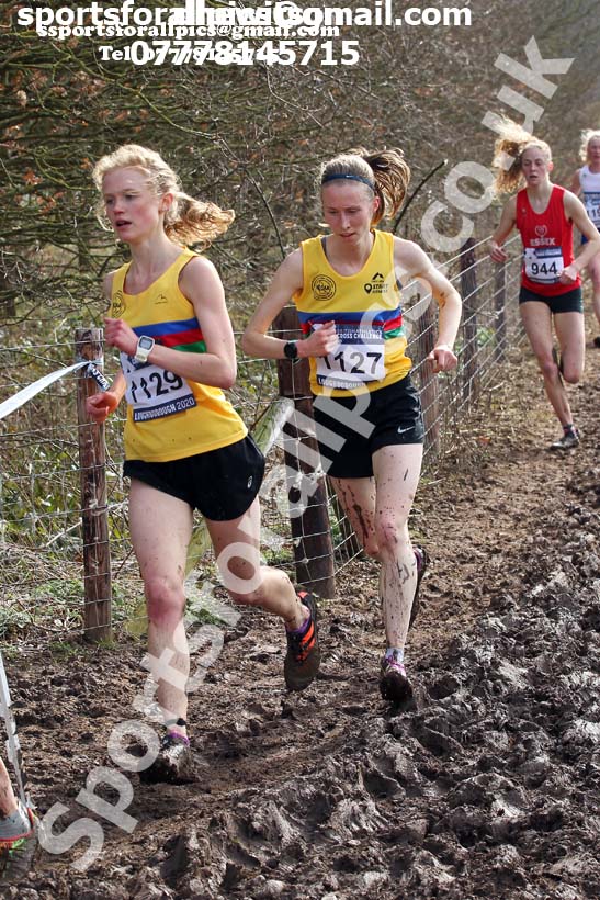 Senior women, 2020 British Athletics Inter Counties Cross Country Champs., Prestwold Hall, Loughborough. Photo: David T. Hewitson/Sports for All Pics